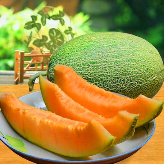 新疆哈密瓜