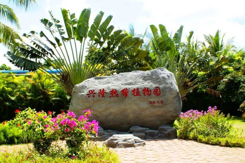 热带植物园